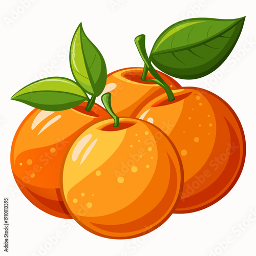 colorful illustration of a Fresh Orange Fruit Isolated on White Background