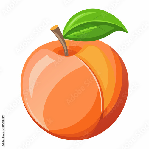colorful illustration of a Juicy Peach Macro Detail Close Up