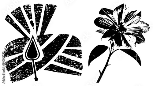 Stylized black and white flower glyphs with textured grunge effect, water droplet motif, isolated vector art, graphic design elements, artistic botanical symbols.