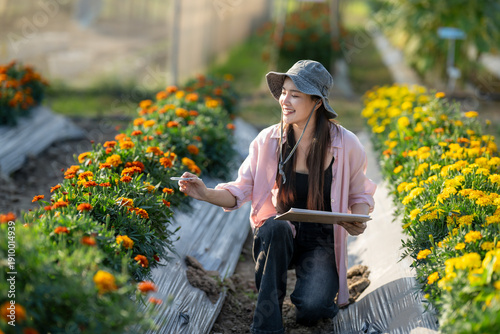 Woman working on flower farm checking marigold plants