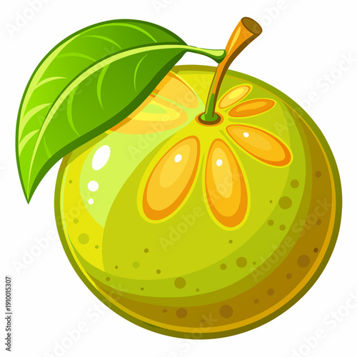 colorful illustration of a Organic Pomelo Healthy Citrus Concept