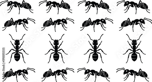 Collection of black ant silhouettes in different views and poses, insect icon set isolated on white background for biology, pest control, nature, and design projects
