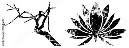 Stylized black branch and lotus flower with distressed texture, graphic art, vector illustration, nature motifs, design, symbolic shapes, artistic rendering.