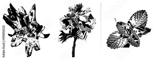 Graphic botanical designs featuring stylized flowers and leaves with fragmented textures, halftone effects, and geometric, ideal for modern print or digital.