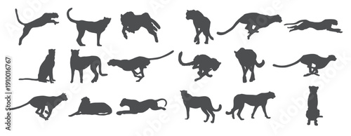 cheetah silhouettes vector illustration