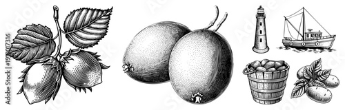 Classic engraved style fruit and maritime, halftone shading, rustic basket, coastal lighthouse, vintage nautical vessel, botanical illustration.