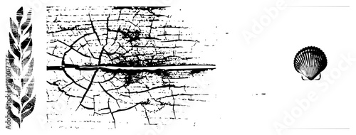 Black and white halftone graphic featuring wheat stalk, cracked bark texture, and scallop, vector art, isolated elements, botanical and marine motifs.