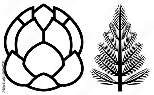 Artichoke bud and pine tree rendered as clean black art, botanical illustrations, graphic design elements, nature symbols, isolated vector graphics.