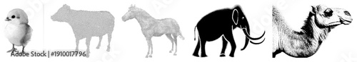 Vector animal illustrations in halftone and solid styles, isolated wildlife, graphic design elements, animal cutouts for branding or UI.