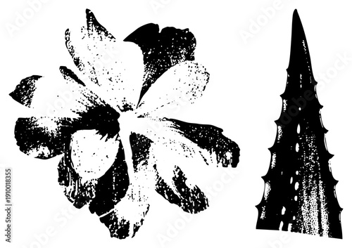 Stylized flower bloom and aloe vera leaf in halftone texture, botanical vector art, design, natural elements, graphic illustration.