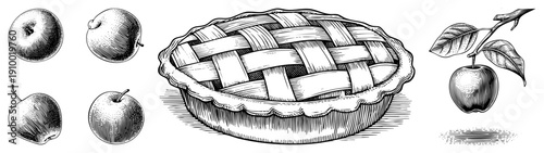 Classic woven lattice pie, rustic baking illustration, hand drawn sketch, vintage engraving style, dessert, fruit pie graphic.
