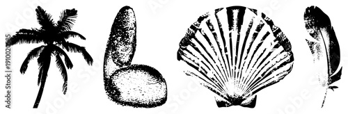 Black and white vector of palm tree, river stones, scallop, and feather, halftone texture, nature symbols, travel or beach theme.