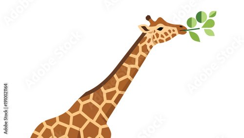 Cartoon giraffe with long neck eating green leaves. Simple flat vector illustration on white background.