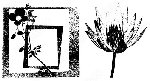 Black and white halftone design featuring framed botanical elements and water lily, graphic art, vector illustration, vintage print style, isolated botanical motifs.