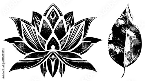 Ornamental lotus bloom and leaf graphic, tribal inspired, vector art, spiritual symbol, nature motif, black and white illustration.