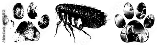 Detailed flea insect and dog/cat paw prints, halftone texture, black and white vector, pet care, veterinary, pest control symbols.