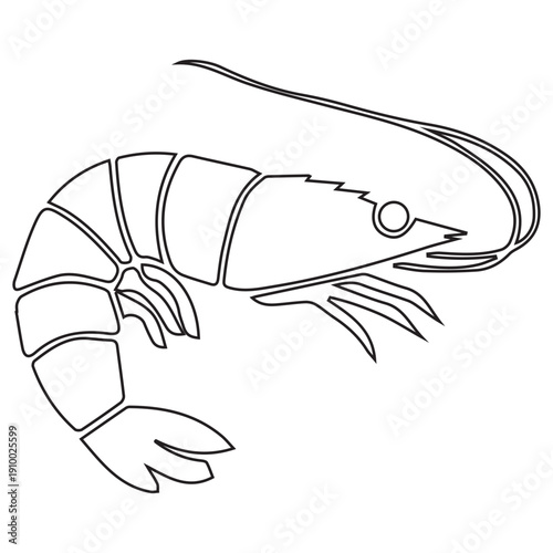 Shrimp Line Art Outline