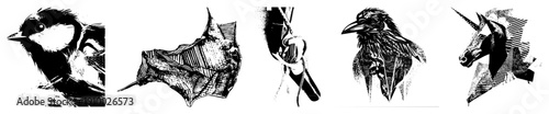 Black and white vector illustrations of bird, bat, hand, raven, and unicorn heads with geometric, halftone textures, and sharp. Artistic animal and mythical creature portraits.