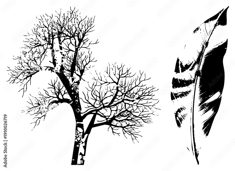 Fototapeta premium Stylized bare tree with intricate branches and textured feather leaf, vector illustration, nature graphic, botanical, minimalist design.
