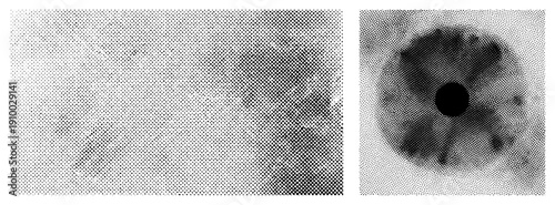 Black and white halftone dots forming abstract organic forms, vector art, stylized texture, graphic design element, isolated.