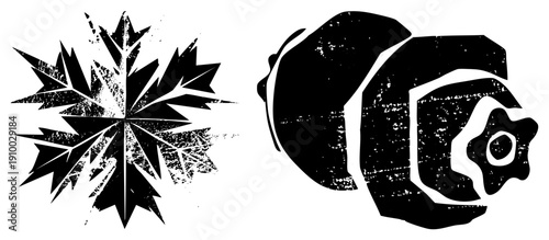 Black and white vector featuring a jagged snowflake and clownfish with distressed texture, isolated graphic elements, artistic stencil style.
