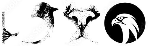 Vector bird featuring textured halftone, stylized avian profiles, graphic design elements, isolated bird motifs, black and white illustrations.