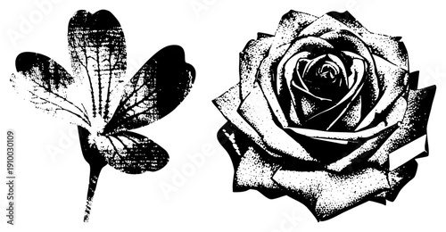 Classic halftone rendered rose and leaf, botanical vector art, black and white graphic, vintage engraving style, isolated elements.