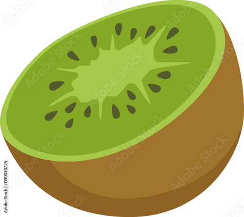 Half kiwi fruit vector illustration