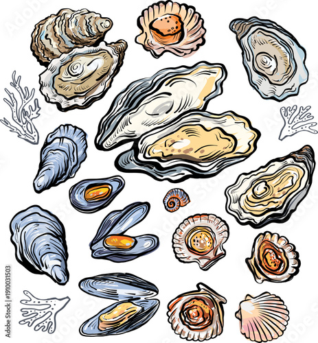 Seafood shell collection with oysters, mussels and scallops