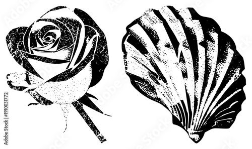 Classic black and white halftone rose with stem, paired with scallop, stylized graphic, vintage print aesthetic, isolated symbols.