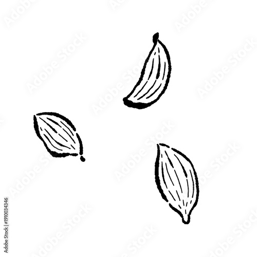 Cardamom Pods and Seeds Monochrome Sketch
