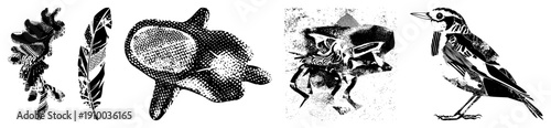 Black and white halftone prints of oak leaf, feather, lily, crab, and bird, classic graphic design elements, nature motifs, vector art.