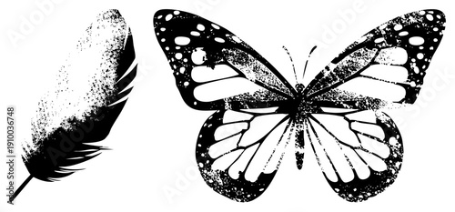 butterfly with spotted wings and feather with speckled texture, vector art, nature motifs, graphic design elements, isolated illustration.