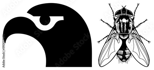 Stylized eagle head emblem with sharp eye, paired with intricate fly drawing, vector art, black and white, graphic design elements.