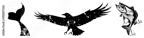 Distressed black vector whale tail, flying raven, fish on hooks vintage tattoo or nautical design elements with textured grit.