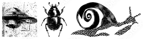 Retro sci fi flying saucer, detailed beetle, spiral snail with all in black and white halftone vector art, isolated graphic elements.