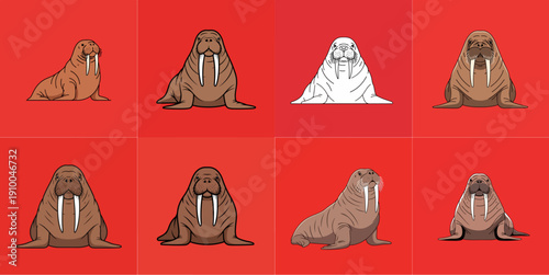 illustration set of walruses on a red background