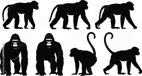Black silhouette illustration collection of primates including monkeys and gorillas in various poses, wildlife artwork highlighting zoology, nature themes, and educational creative projects