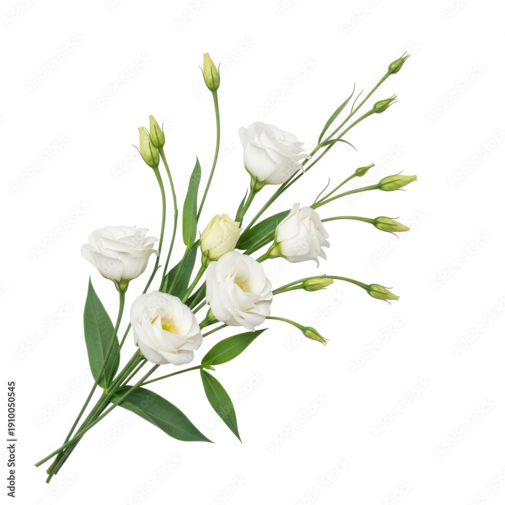 Fototapeta premium A beautiful bouquet of white lilies with green stems and leaves isolated on transparent background