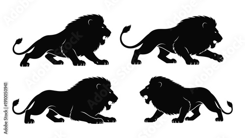 Four majestic black lion silhouettes in various dynamic poses against a white background isolated on white background, Vector