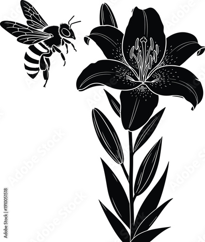 Black silhouette illustration of bee approaching blooming lily flower, pollination concept, ecological interaction design, botanical inspiration, nature art, and educational background