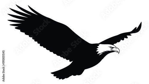 Majestic black eagle soaring through the clear blue sky with outstretched wings. isolated on white background, Vector