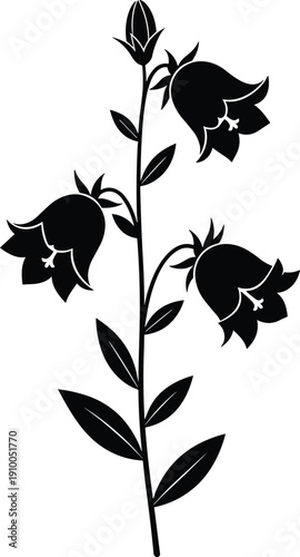 Black silhouette illustration of bellflower plant with vertical stem, lance-shaped leaves, and blooming bell-shaped flowers, botanical design inspiration, nature art, and educational background