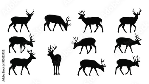 Silhouettes of various deer species in different poses and positions isolated on white background, Vector