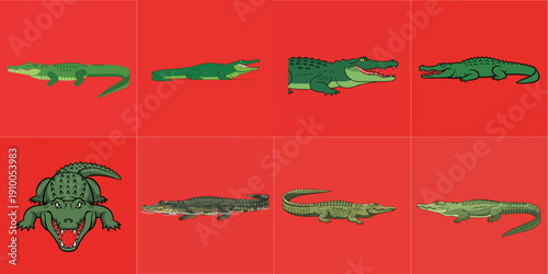 illustration of estuarine crocodile on red background