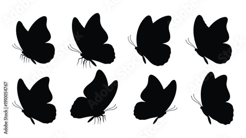 A collection of various butterfly silhouettes in black and white isolated on white background, Vector