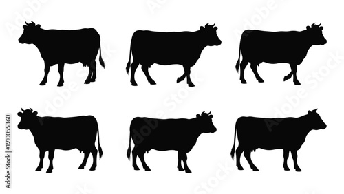 Six black silhouettes of cows in various poses on a white background isolated on white background, Vector