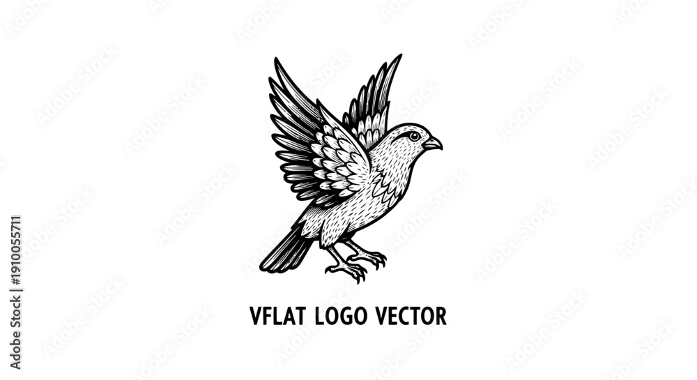 Fototapeta premium Hand drawn bird logo vector illustration.