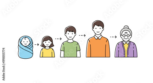 Human life cycle stages from baby to elderly person.
