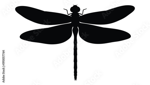 A detailed black and white illustration of a dragonfly in mid-flight isolated on white background, Vector